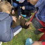 viber image 2024 03 05 17 35 17 871