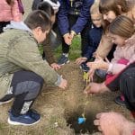 viber image 2024 03 05 17 35 19 094