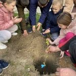 viber image 2024 03 05 17 35 19 359