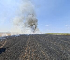 Забрањено спаљивање стрњике-све спаљене парцеле биће стављене у пасиван статус 2 IMG f3a292b4dd0c91ecc9fffef05806df12 V